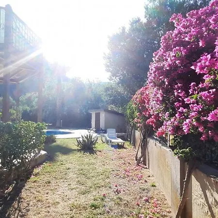 Kardelen Ortaca (Mugla)
