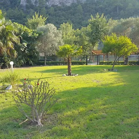 Kardelen